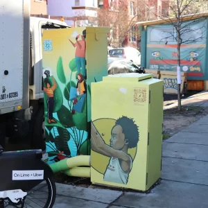 vinyl wrapped electrical box